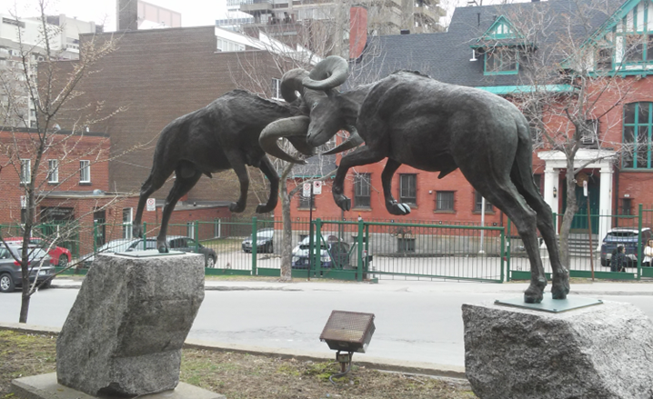 peer-assessment header.png